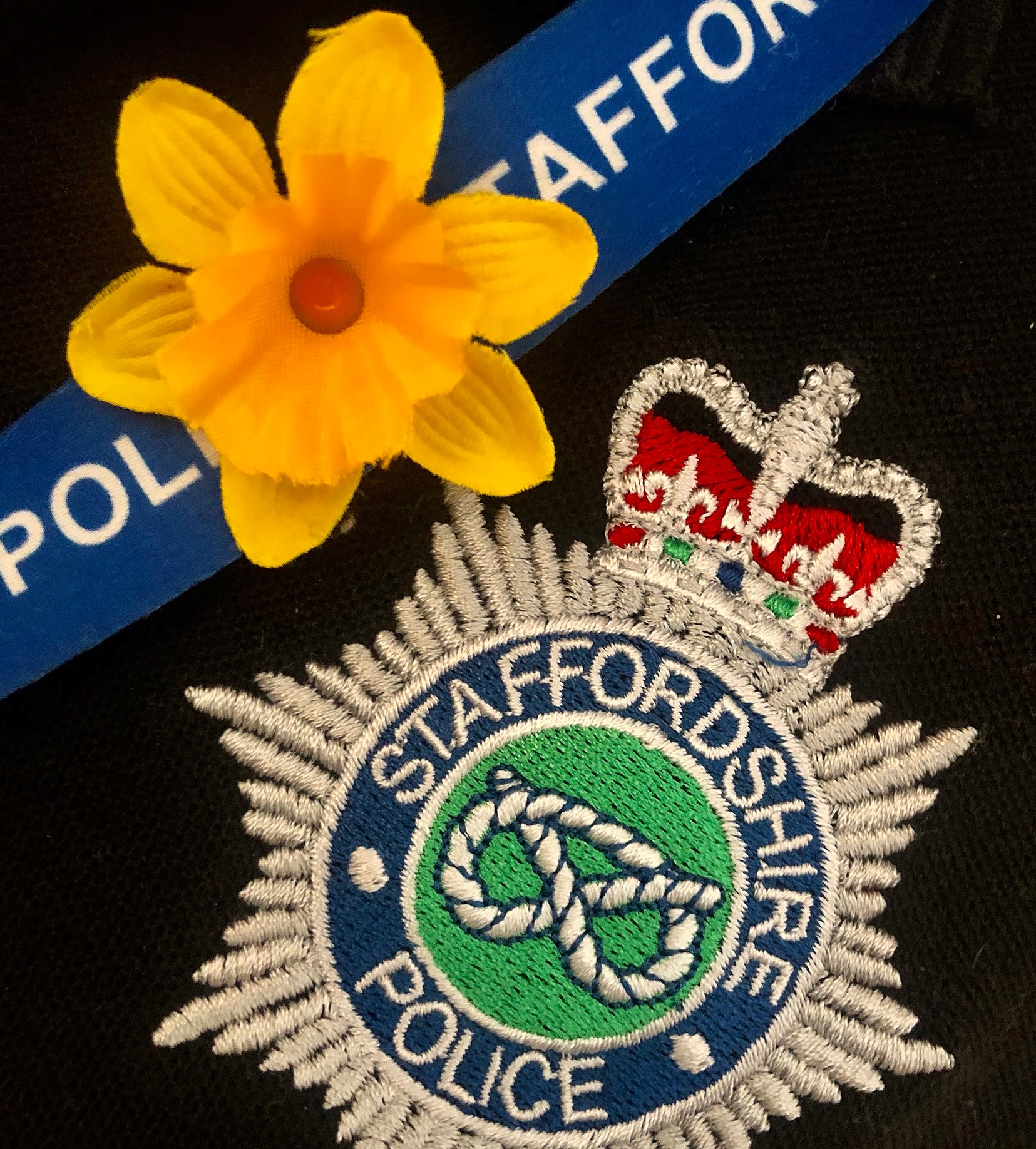 Daffodil police generic 