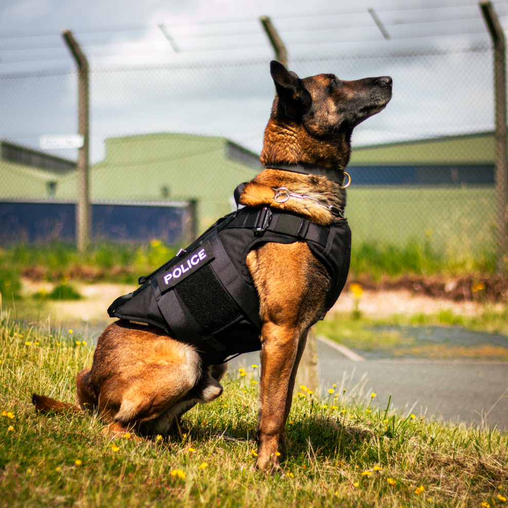 PD Atlas
