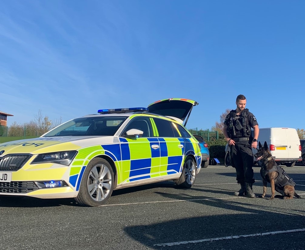 Dog Unit