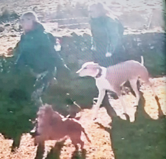 CCTV appeal