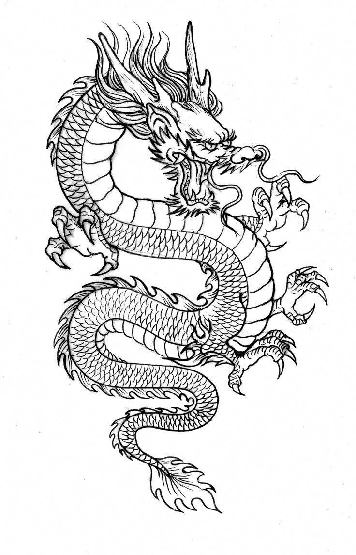 Sketch of dragon tattoo