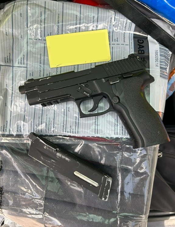 picture of the gun
