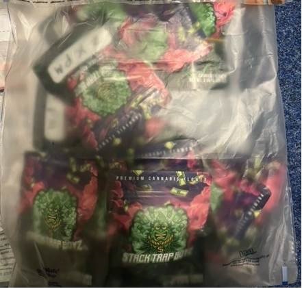 A quantity of the cannabis seized