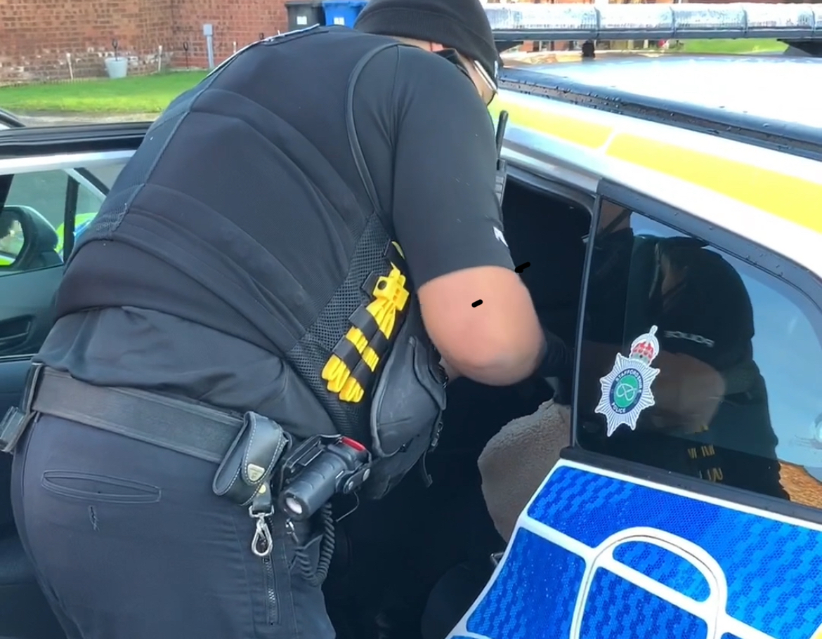 Arrest image