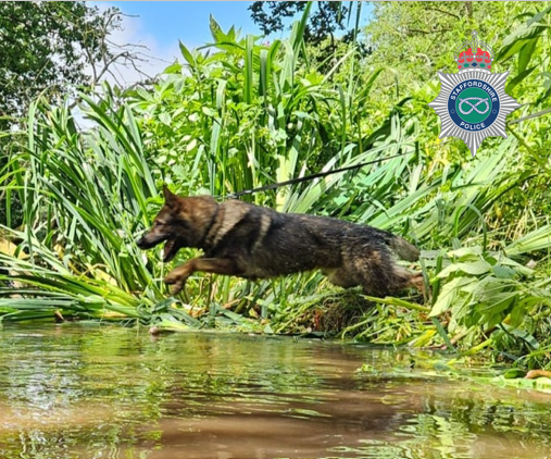 PD Joschi