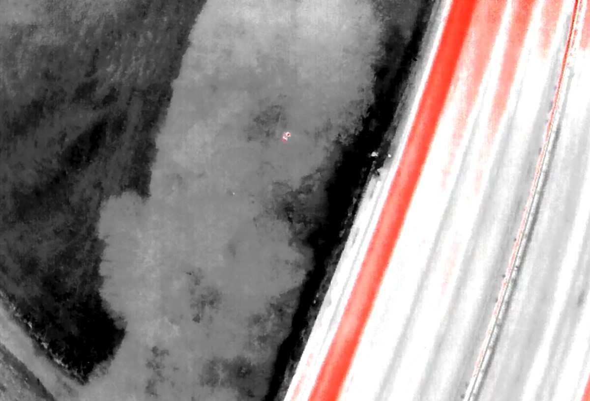 thermal imaging