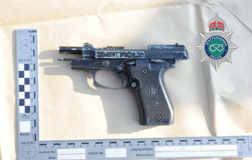 image of gun