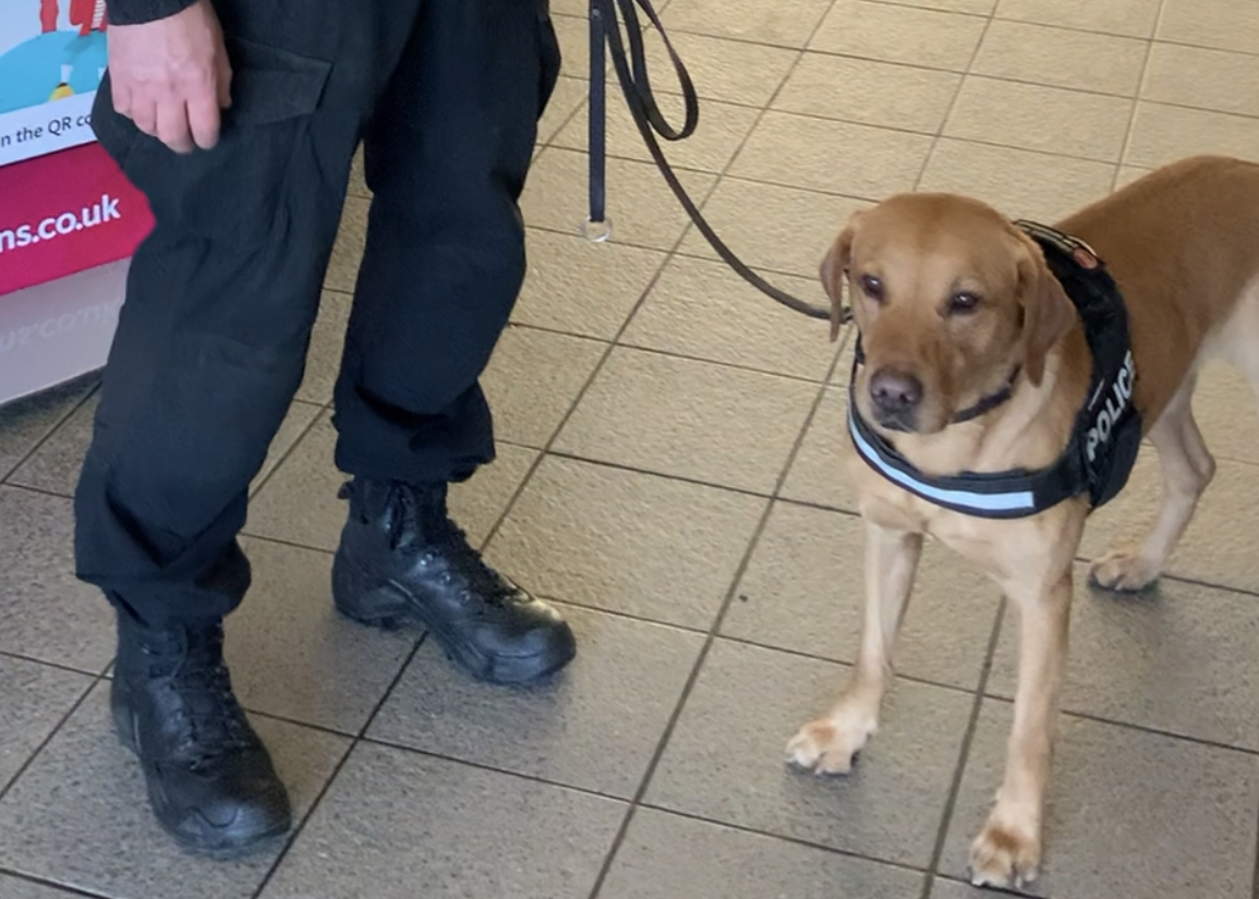 PD Ash