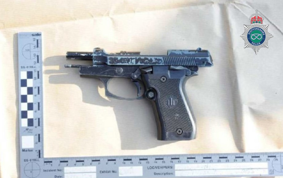 firearm