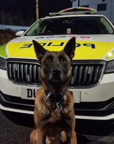 PD Kev