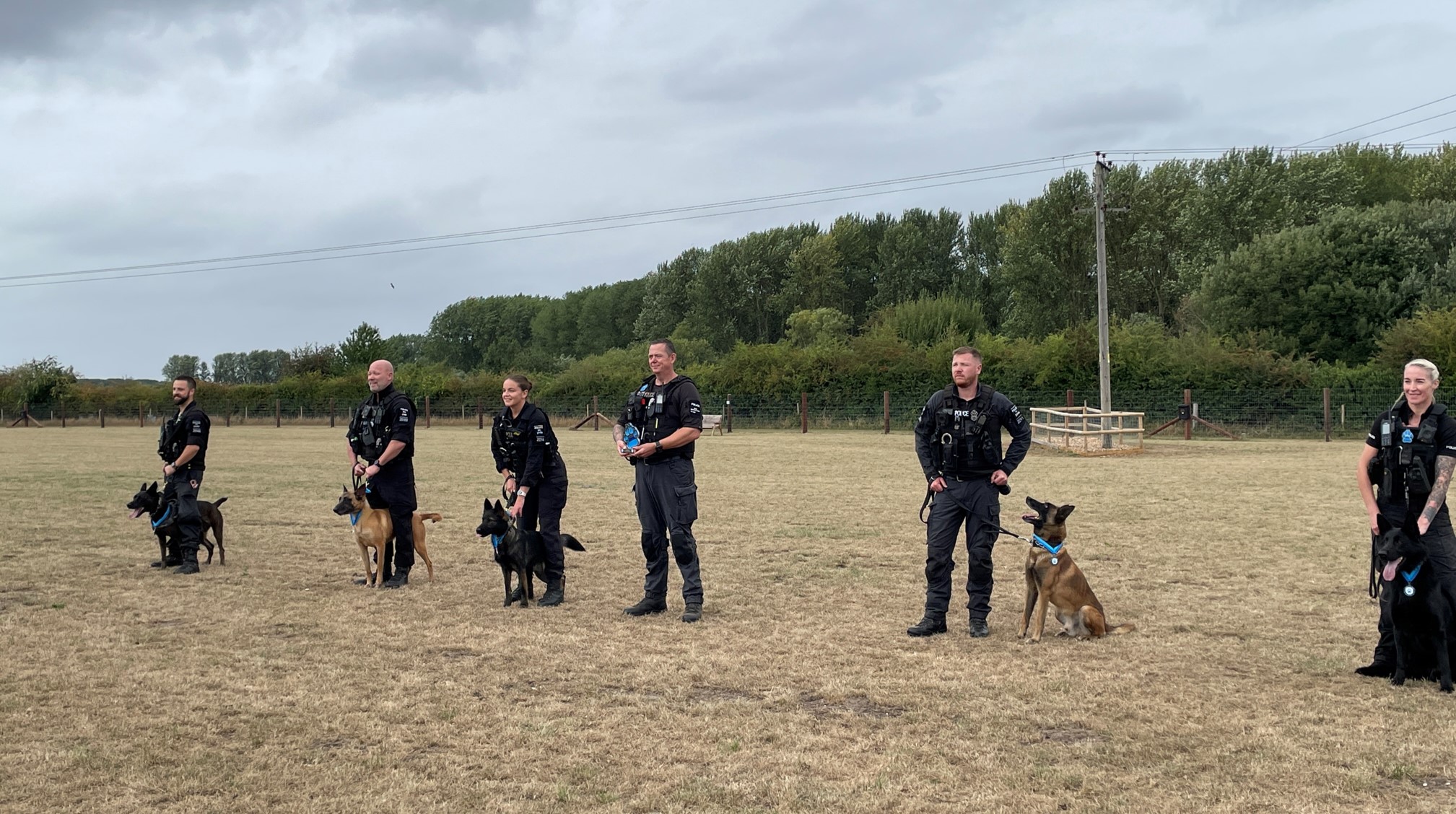 Police dogs honoured for Tamworth disorder bravery | Staffordshire Police
