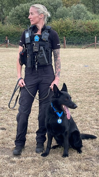 Police dogs honoured for Tamworth disorder bravery | Staffordshire Police