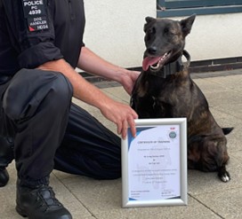 Police dog
