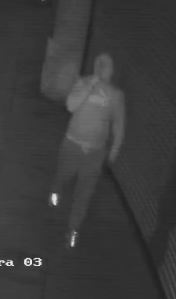 Burglary CCTV Still