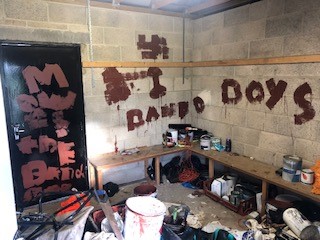 criminal damage