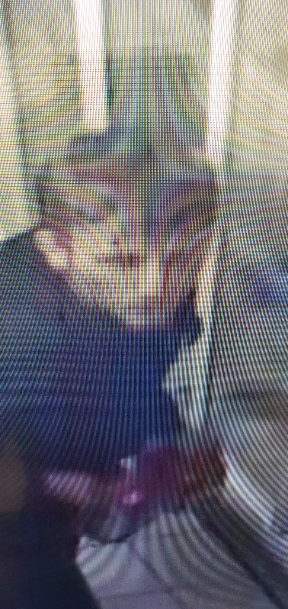 CCTV