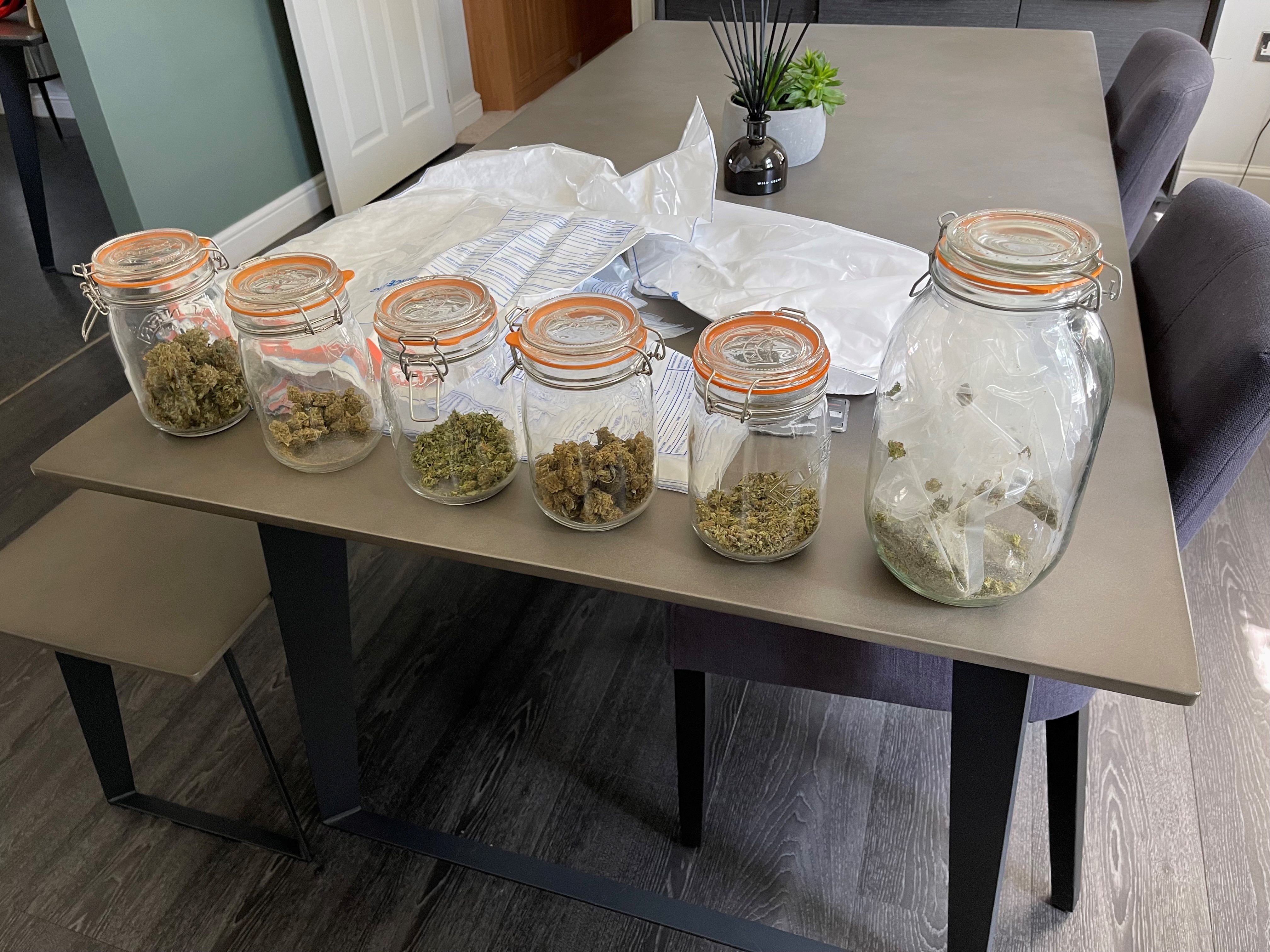 Cannabis