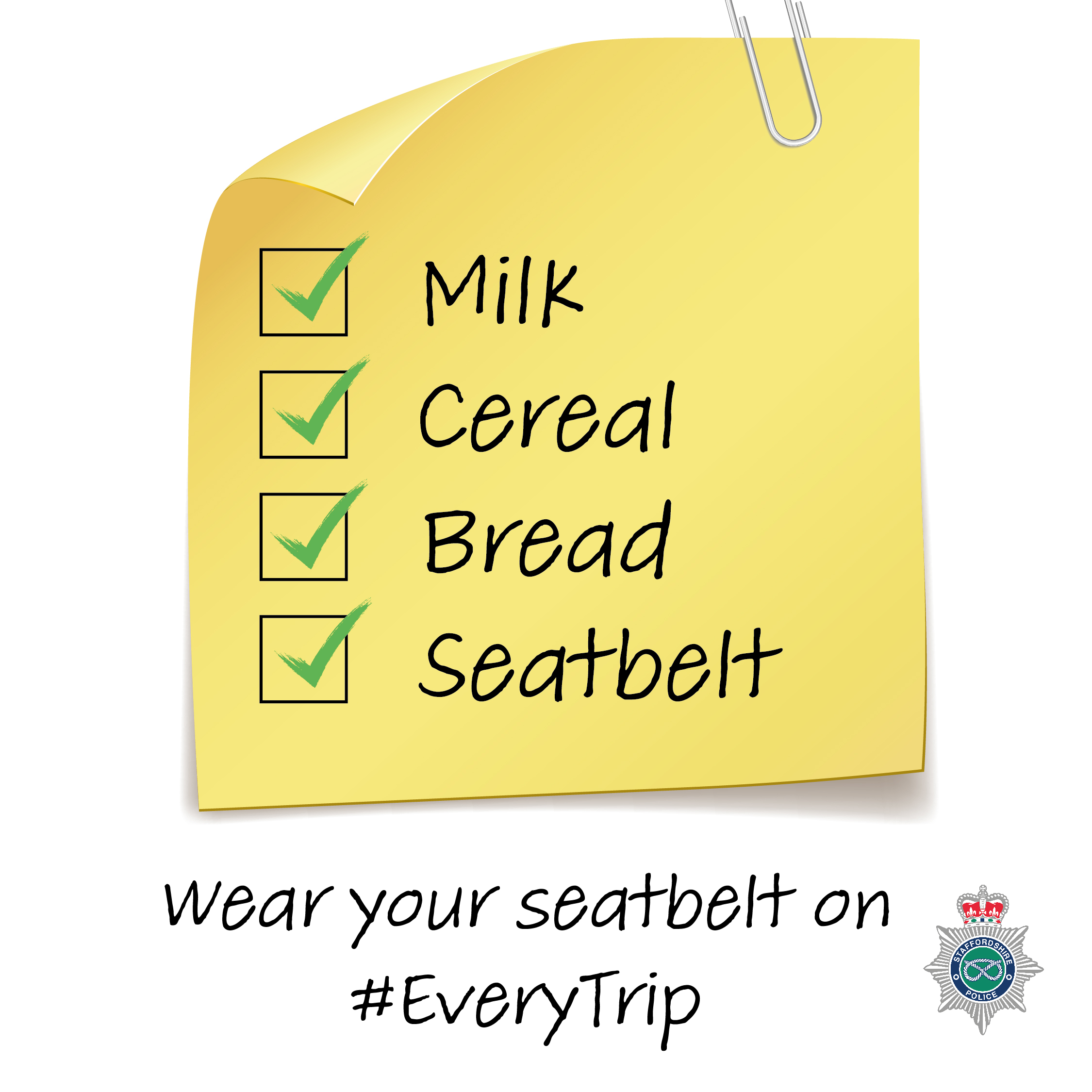 Seatbelt campaign