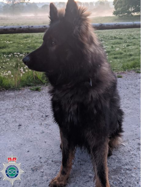 PD Basti